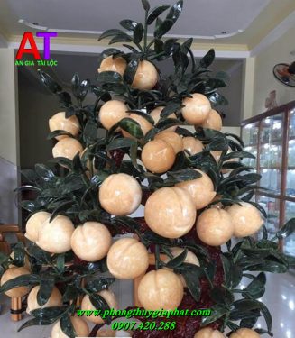 Cây đào phong thủy ngọc hoàng long