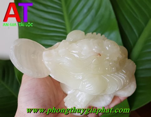 Thiềm thừ đá ngọc pakistan