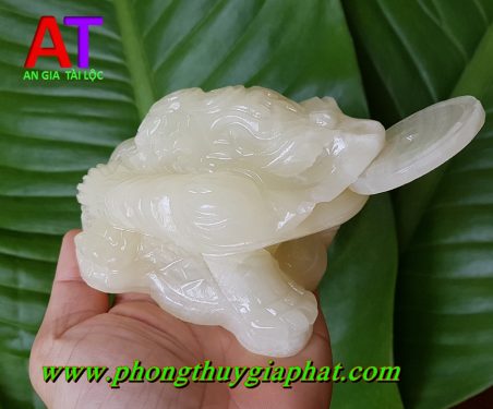 Thiềm thừ đá ngọc pakistan