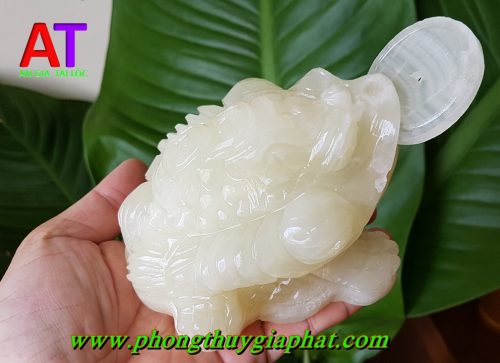 Thiềm thừ đá ngọc pakistan