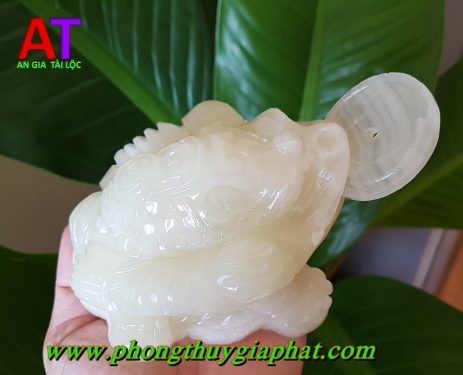 Thiềm thừ đá ngọc pakistan