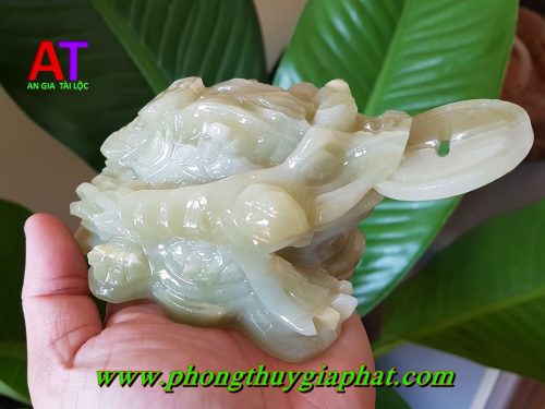 Thiềm thừ đá ngọc pakistan