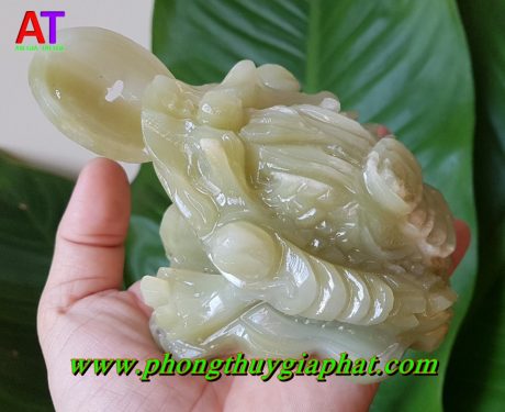 Thiềm thừ đá ngọc pakistan