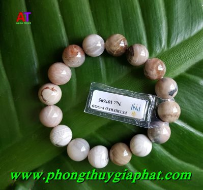 Vòng đeo tay gỗ hóa thạch