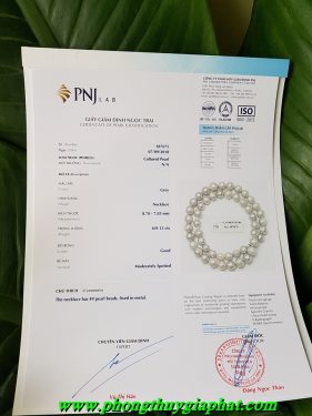 Vòng đeo cổ ngọc trai