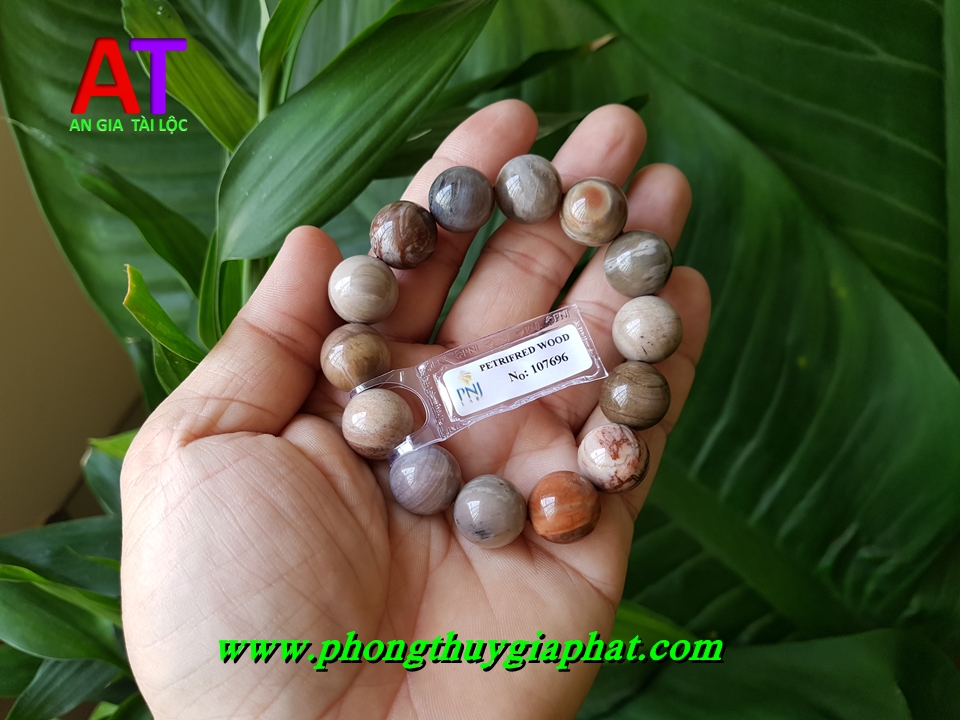 Vòng đeo tay gỗ hóa thạch