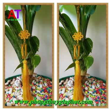 Móc treo ô tô dây vàng