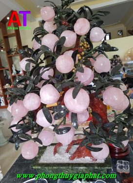 Cây đào phong thủy Thạch anh hồngCây đào phong thủy Thạch anh hồng