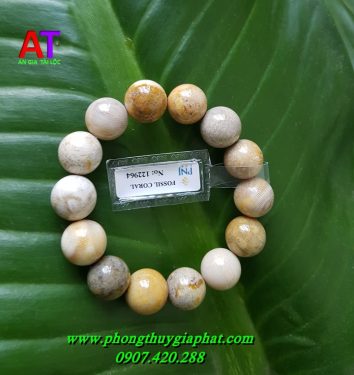 Vòng đeo tay san hô hóa thạch