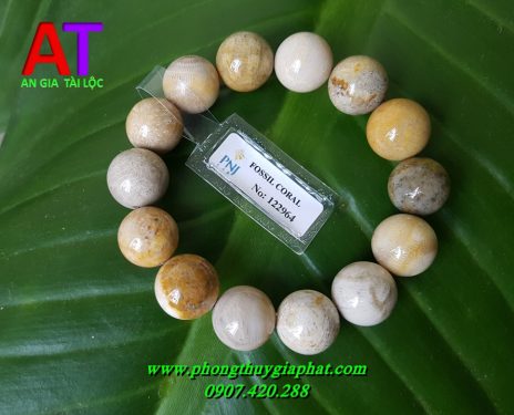 Vòng đeo tay san hô hóa thạch