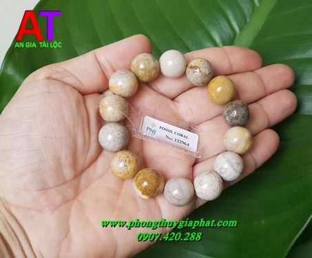 Vòng đeo tay san hô hóa thạch