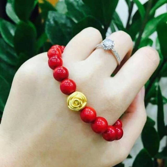 Vòng san hô - sự kết tinh của vũ trụ