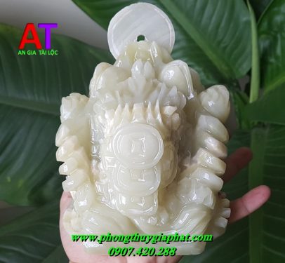 Thiềm thừ đá ngọc pakistan