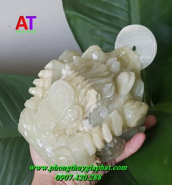 Thiềm thừ đá ngọc pakistan