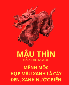 PHONG THỦY TUỔI MẬU THÌN 1988