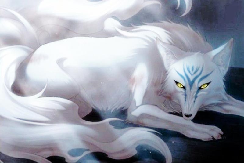 ĐÁ HỒ LY PHONG THỦY, NHỮNG ĐIỀU BẠN NỮ CẦN BIẾT