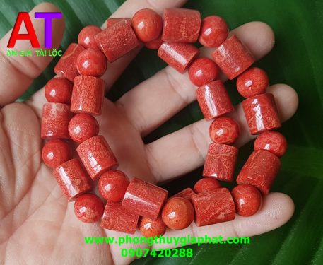 Vòng san hô đỏ đốt trúc