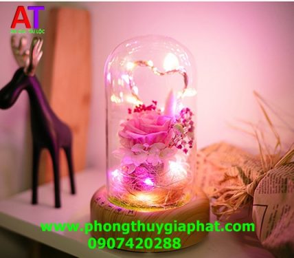 Hộp thủy tinh hoa hồng vĩnh cửu