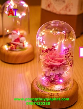 Hộp thủy tinh hoa hồng vĩnh cửu