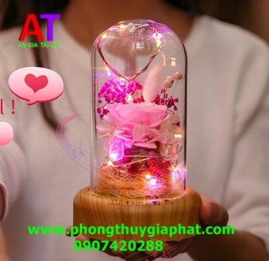 Hộp thủy tinh hoa hồng vĩnh cửu