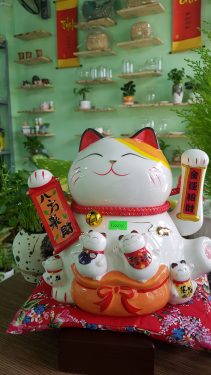 Mèo thần tài may mắn