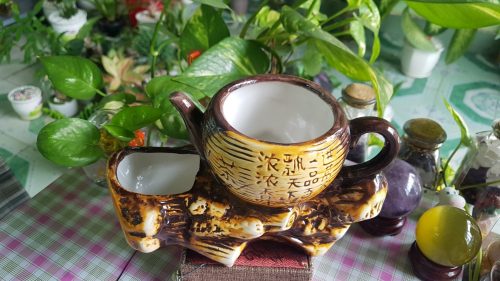 Chậu cây hình ấm cổ