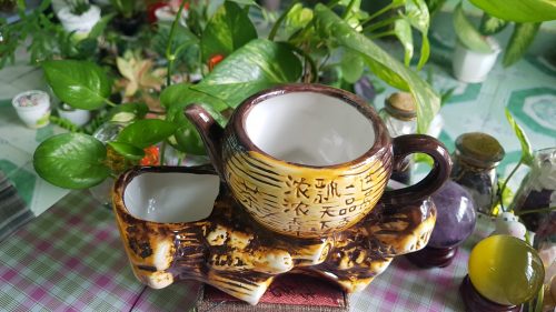 Chậu cây hình ấm cổ