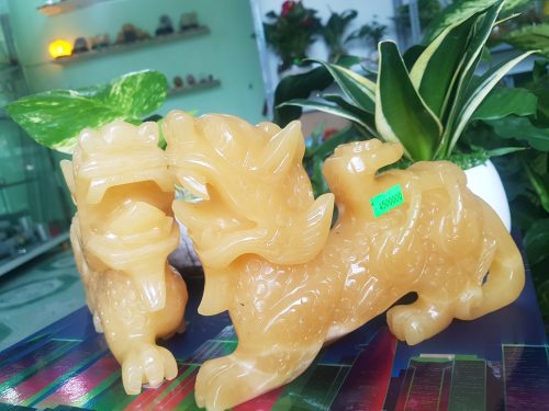 Tỳ hưu ngọc hoàng long