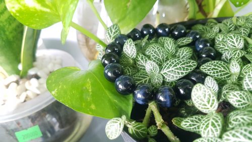 Vòng đeo tay thạch anh mắt chim ưng
