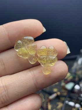 cỏ 4 lá