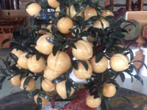 Cây đào phong thủy ngọc hoàng longCây đào phong thủy ngọc hoàng long