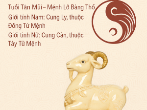 Phong thuỷ tuổi mùi 1991
