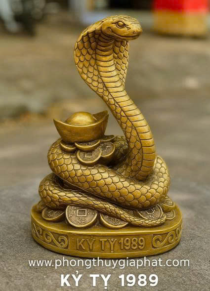 PHONG THUỶ KỶ TỴ 1989